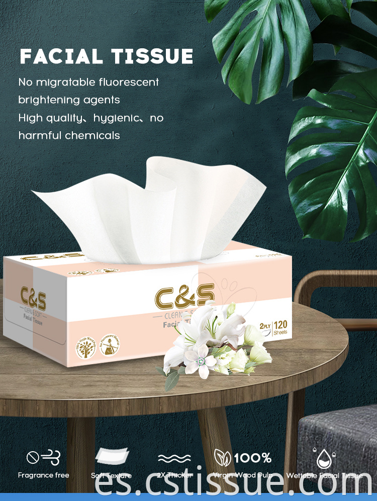 Facial Tissue